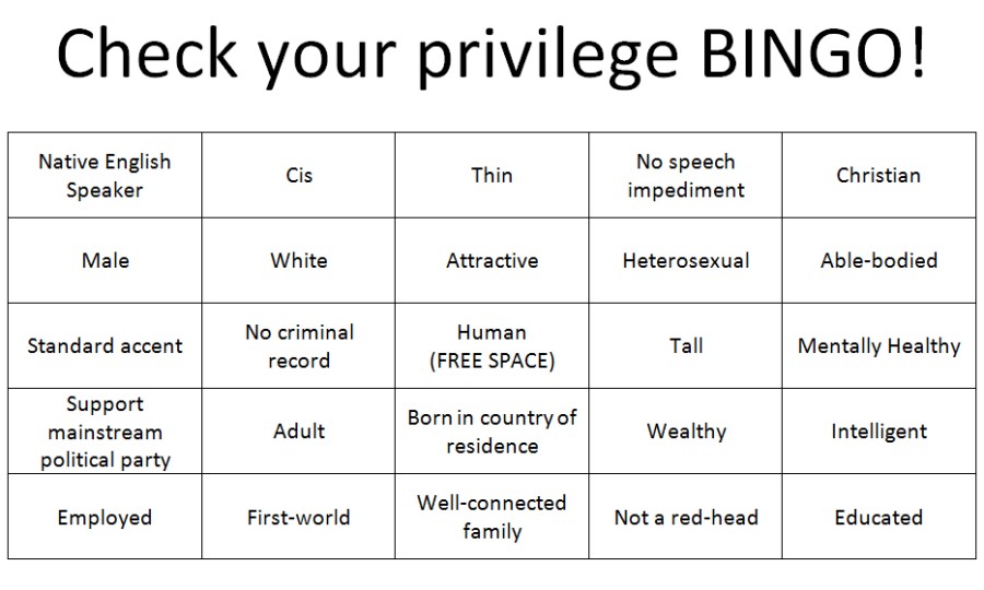 Check Your Privilege Chart